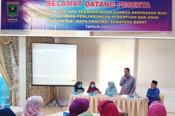 Bupati Pessel: Ekonomi keluarga menjadi faktor terjadinya kekerasan dalam rumah tangga