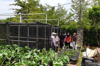 Upaya Sumsel bangkitkan pertanian dengan 1.000 PPL