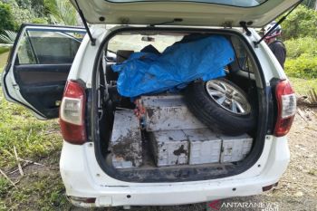 Polisi tangkap pencuri enam baterai BTS Telkom di Kabupaten Muna Sultra