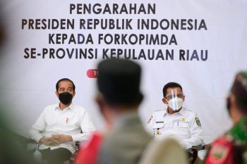 Gubernur Kepri menagih janji Presiden Jokowi bangun jembatan Batam Bintan