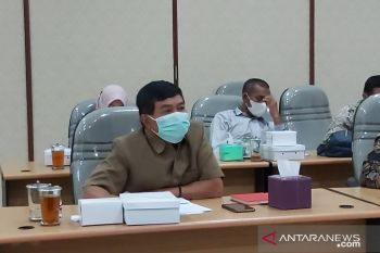 DPRD Kulon Progo mendesak pemkab membuat program strategis pemulihan ekonomi