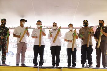 Bupati Tulang Bawang serahkan 1.500 bibit hortikultura