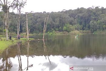 Balai TNLL  kantongi rekomendasi Satgas COVID buka kembali Danau Tambing