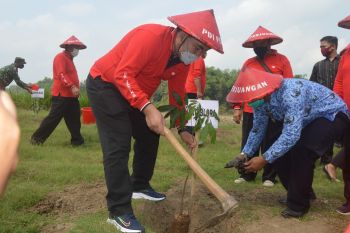 15.000 pohon ditanam di bantaran Sungai Bengawan Solo Blora