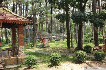 Disbudpar Sumsel dorong desa kembangkan ekowisata