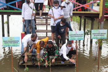 Wali Kota Makassar mengapresiasi aksi Permabudhi tanam bibit mangrove