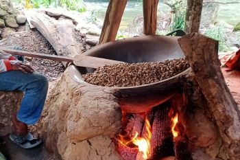 Dampak COVID-19, seorang pedagang kacang randang di Pasaman alami penurunan omzet Rp1,5 juta