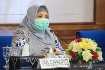 Wagub NTB mendukung pendirian rumah sakit Lombok Hospital