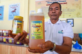 PLN Dorong Kebangkitan UMKM di Masa Pandemi COVID-19