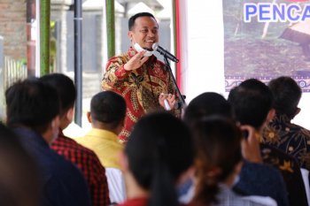 Pemprov Sulsel tanam tiga ribuan pohon hijaukan Bandara Buntu Kunik Toraja