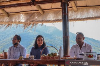 Kopi Manggarai diharapkan jadi tuan di tanah sendiri