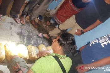 Di rumah kosong bawah jembatan ini, SD ditangkap polisi karena simpan tujuh paket besar ganja