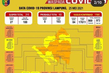 Dinkes Lampung catat kasus COVID-19 bertambah menjadi 17.695