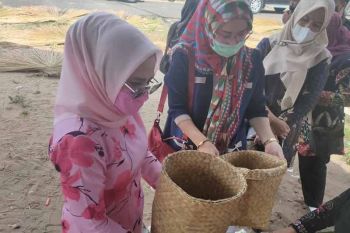 Wabup Seruyan nilai kerajinan purun menjanjikan jika dikembangkan