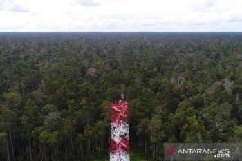 Tantangan semakin berat, kolaborasi pemerintah dan dunia usaha penting wujudkan SDGs di masa pandemi