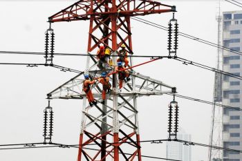 Laba bersih PLN teraudit naik 38,6 persen