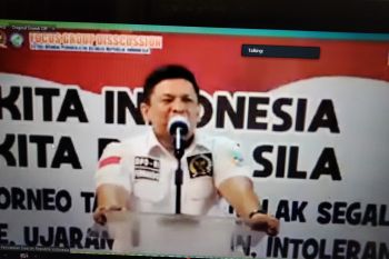 Fernando Sinaga Gambarkan Evaluasi UU Desa