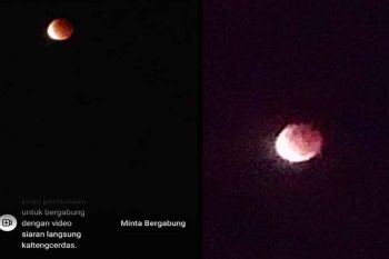 Warga Palangka Raya antusias saksikan fenomena "super blood moon"