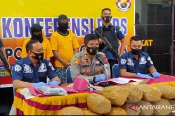 Polres Solok Kota sita 25,5 Kilogram ganja kering dari pengedar