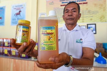 PLN mendukung 39 UMKM di Papua dan Papua Barat