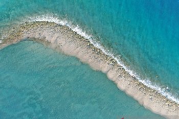 Terumbu karang  Taman Nasional Laut Sawu rusak akibat seroja