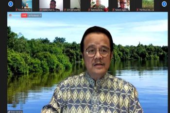 Kemen LHK diminta perhatikan hak masyarakat Kalteng di food estate