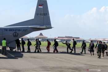 Terjun Free Fall Taifib