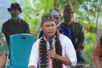 Gubernur harapkan bambu dibudidayakan sebagai tanaman utama
