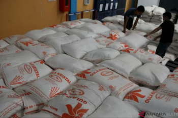 Bulog Sultra sebut stok gula tetap aman mencapai 100 ton