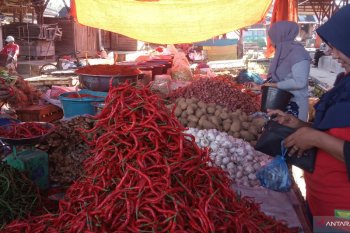 Harga cabai merah di Agam naik Rp4.000 per kilogram