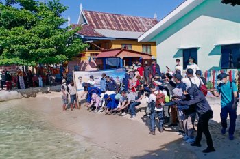 Puluhan tukik penyu hijau dilepasliarkan di Pulau Barang Caddi Makassar