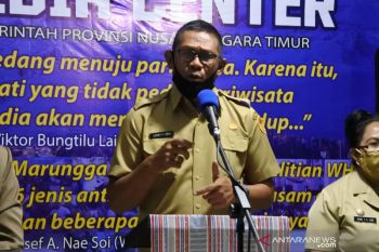 160 haktare padi sawah di  Kupang siap panen