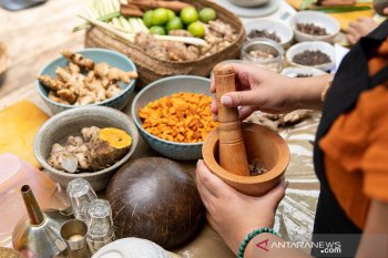 Belum ada obat herbal Indonesia untuk lawan COVID-19