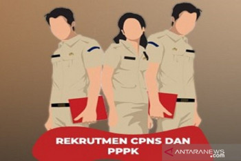 BKN perpanjang pendaftaran CPNS buka kesempatan lebih luas