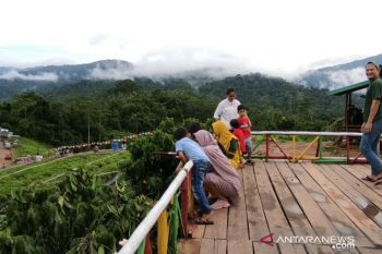 Melihat wisata alam "kebun di atas awan"  di Konawe Utara