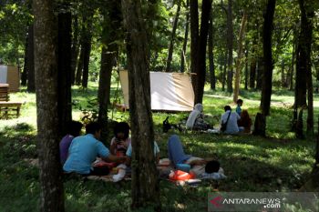 Pembatasan pengunjung di Punti Kayu