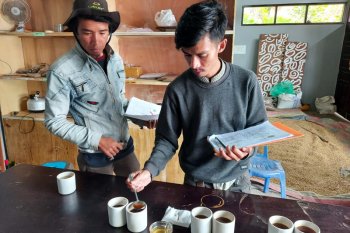 Mengenal Q Grader pencicip cita rasa kopi dari  Sumbar