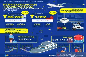 BPS Sultra sebut angkutan udara selama April 2021 naik 5,52 persen