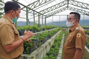 Pegiat wisata Tanah Datar kembangkan wisata alam dan edukasi gairahkan ekonomi saat pandemi