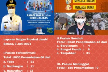 Delapan ribu orang lebih pasien COVID-19 di Jambi sembuh