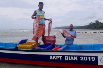 PKM apresiasi pembangunan pelabuhan perikanan di Papua