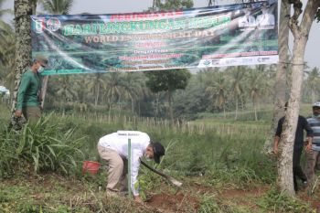 Wabup Pringsewu tanam pohon peringati hari lingkungan hidup sedunia