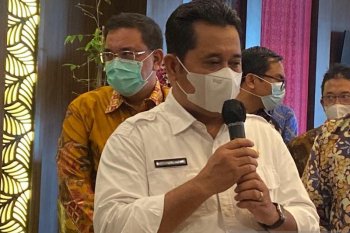 Banyuasin siapkan lahan 118 hektare dukung program food estate