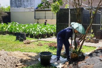 PKB Sumsel ajak pemuda lakukan reboisasi  atasi kerusakan hutan