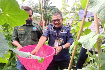 BKP Kementan  berdayakan perempuan Palu lewat program P2L