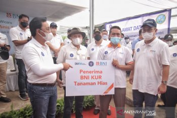 BNI berikan KUR kepada pegiat tanaman hias binaan IPB University