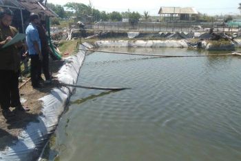 Realisasi produksi ikan budi daya di Kulon Progo mencapai 29,48 persen