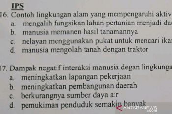 Ujian SD di Kampar disusupi kampanye antisawit