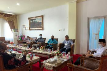 Ini upaya-upaya agar gambir menjadi komoditas unggulan di nasional