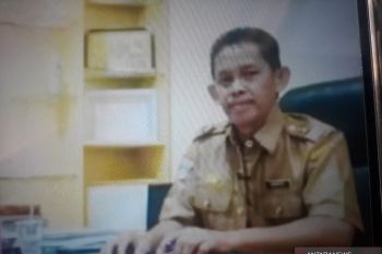 Seluas ini replanting hektare sawit rakyat ditargetkan Disbun Pasbar pada 2021
